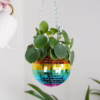Add a pop of color and fun to your space with this rainbow disco ball hanging planter. Rainbow disco ball hanging planter with green leaves