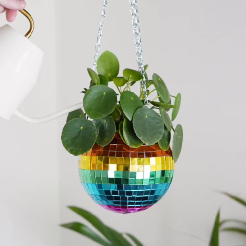 Add a pop of color and fun to your space with this rainbow disco ball hanging planter. Rainbow disco ball hanging planter with green leaves