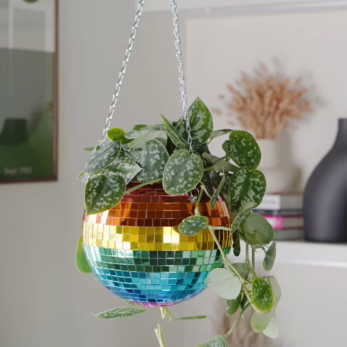 Add a splash of color to your space with this playful rainbow disco ball hanging planter. Rainbow disco ball hanging planter with green leaves
