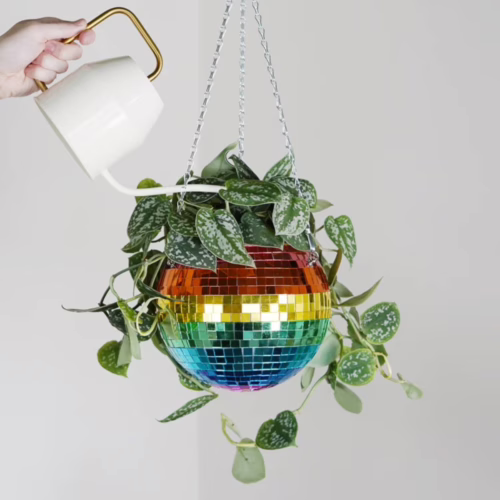 Add a splash of color to your home with this whimsical disco ball hanging planter! Rainbow disco ball hanging planter with green leaves;