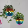 Add a touch of sparkle to your space with these vibrant disco ball hanging planters. Two rainbow-colored disco ball hanging planters with plants