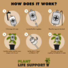 Learn how to keep your plants hydrated effortlessly with the Plant Life Support system. Step-by-step instructions for Plant Life Support system