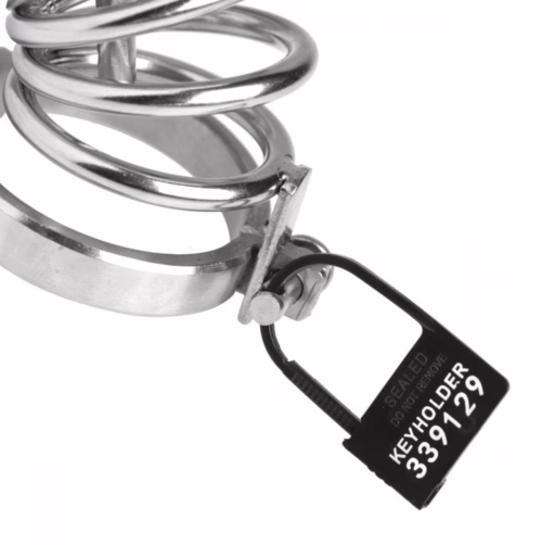 Master Series Keyholder 10 Pack Numbered Plastic Chastity Locks