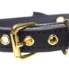 Master Series Golden Kitty Cat Bell Collar Black/Gold