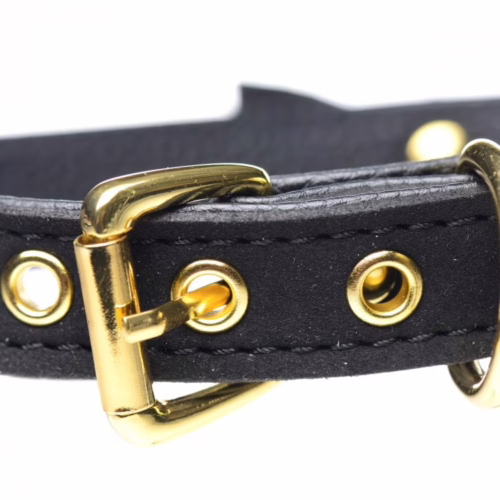 Master Series Golden Kitty Cat Bell Collar Black/Gold