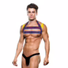 Envy logo harness in blue yellow colourway for contemporary body styling